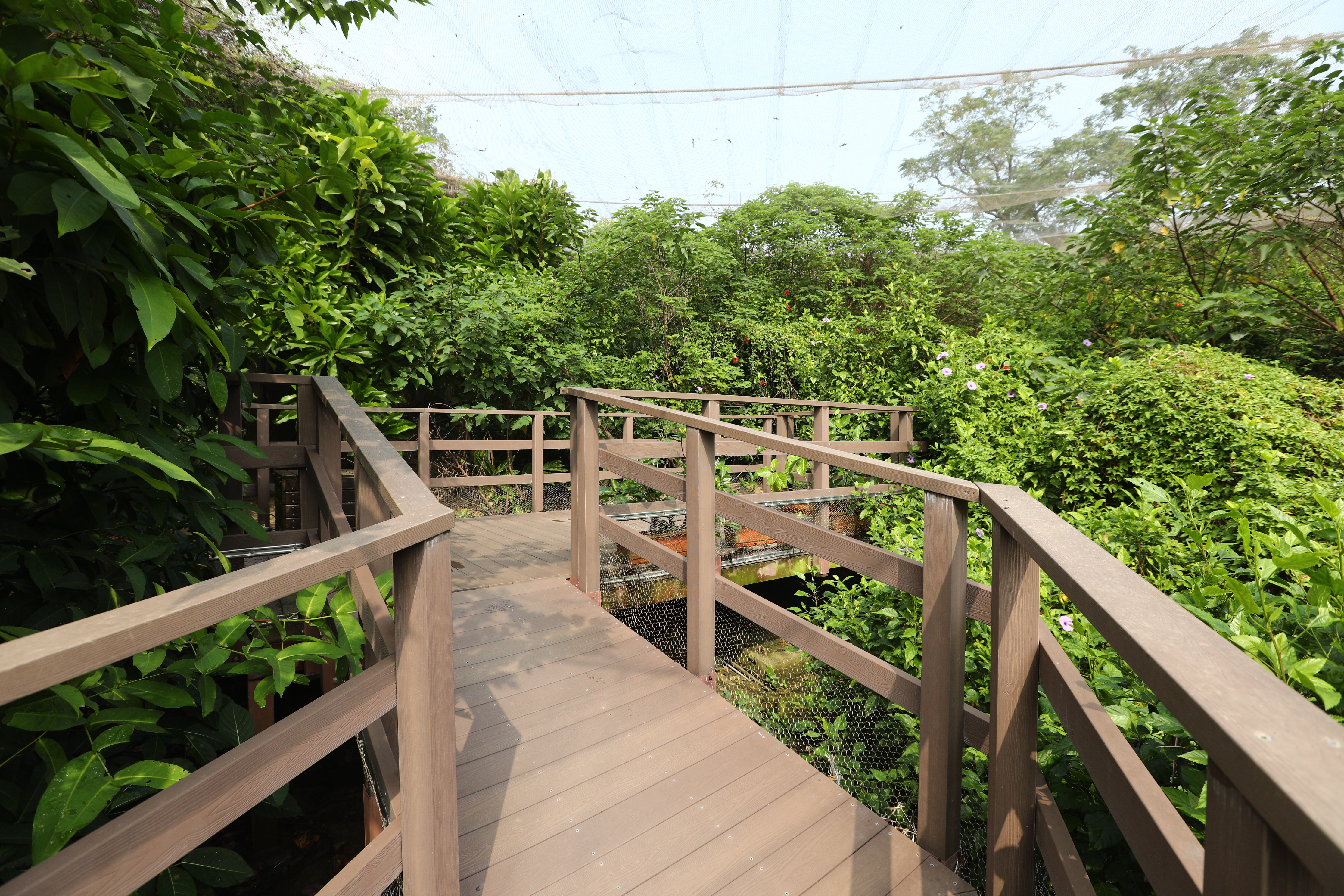 高雄 壽山動物園 (23).JPG