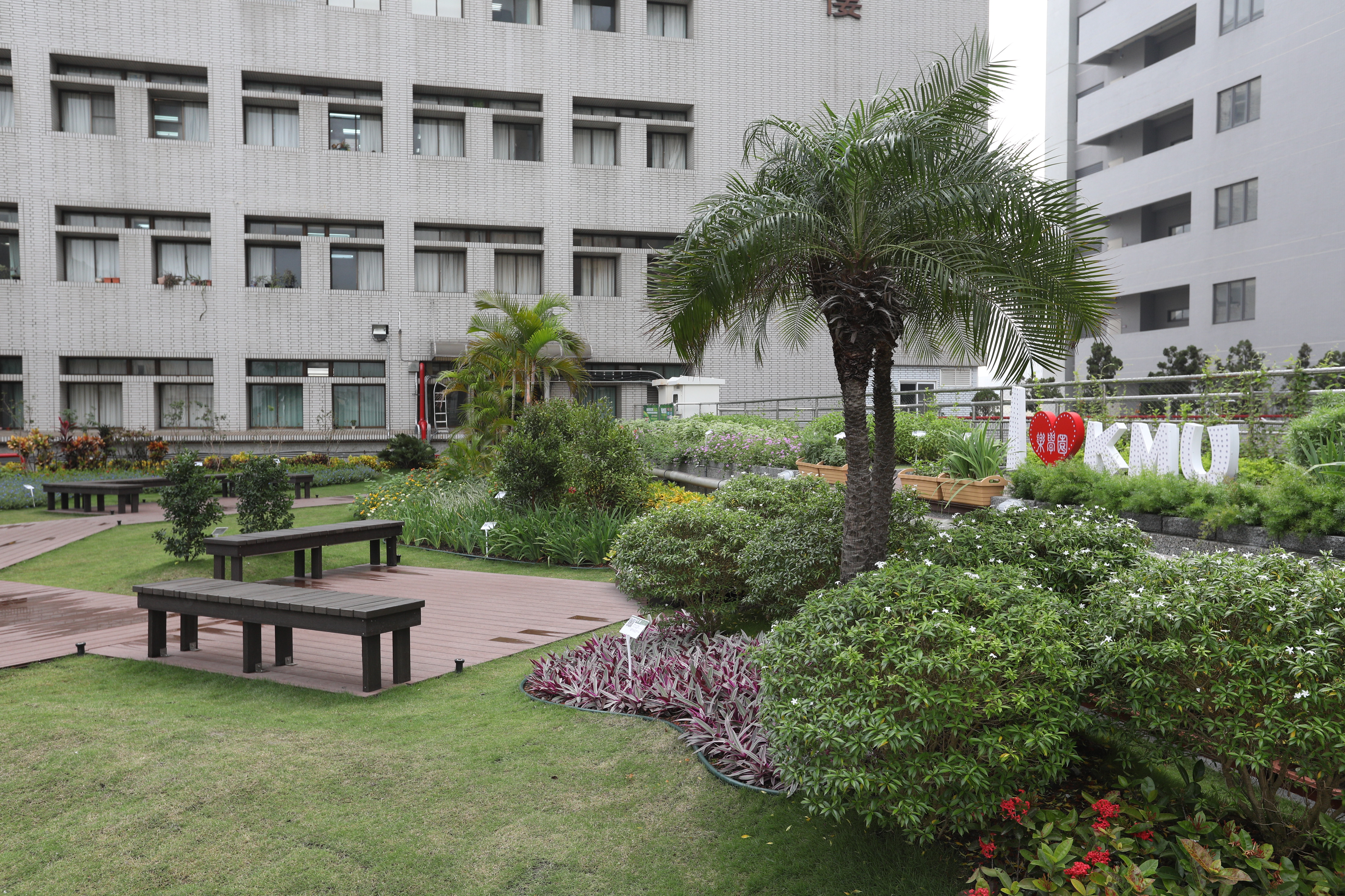 高醫屋頂花園 (10).JPG