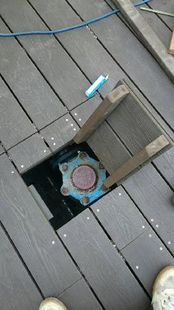 木作工程,塑木,中興大學