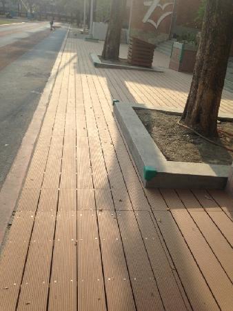 景觀材料,木纖仿木,瑞興國小