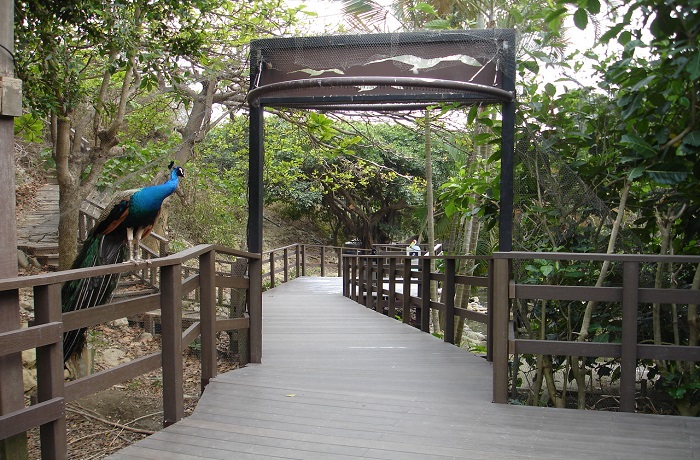 壽山動物園 