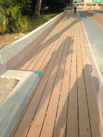 景觀材料,木纖仿木,瑞興國小