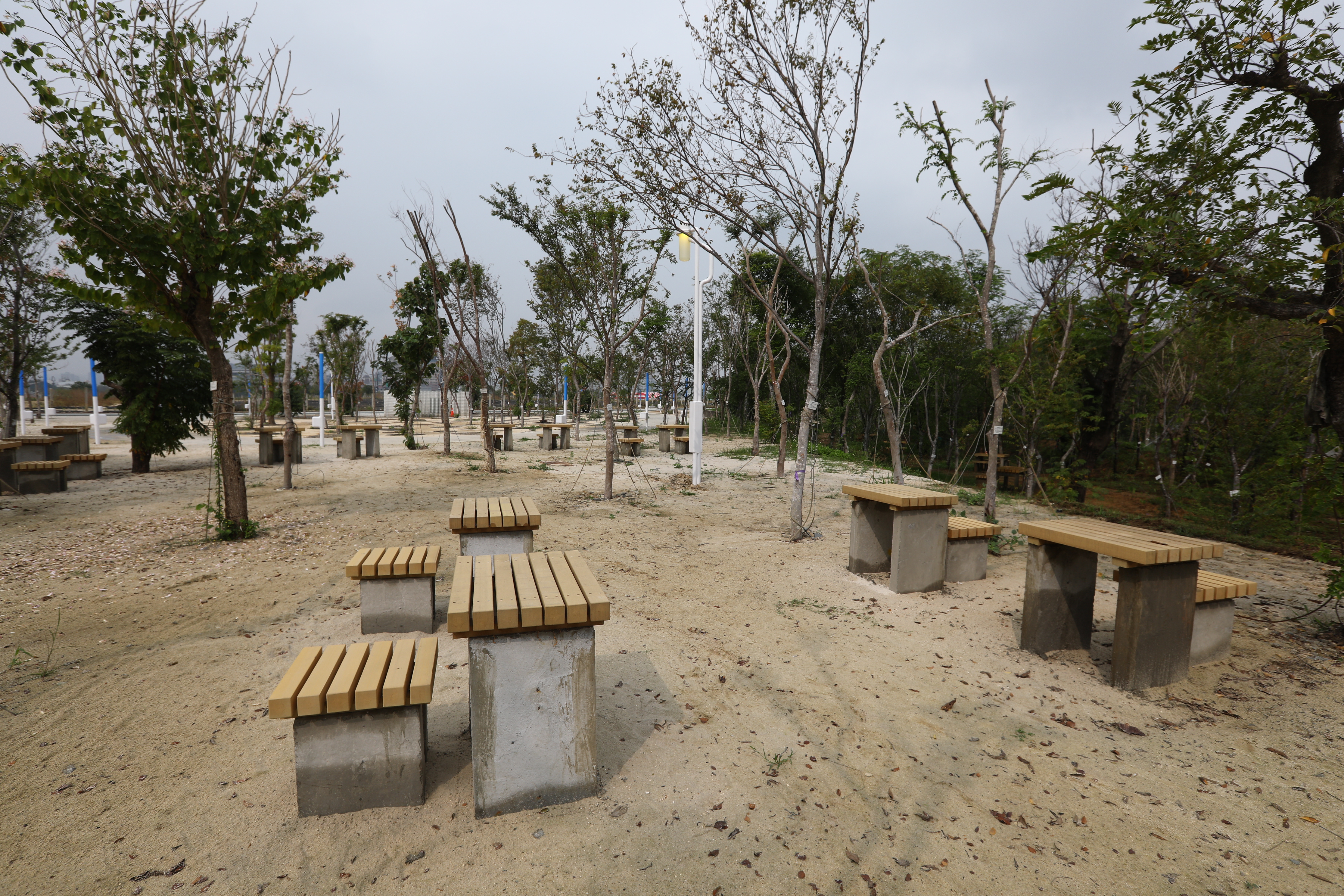 台中 中央公園 (28).JPG