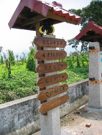 街道傢俱,香妃木,新社鄉綠廊