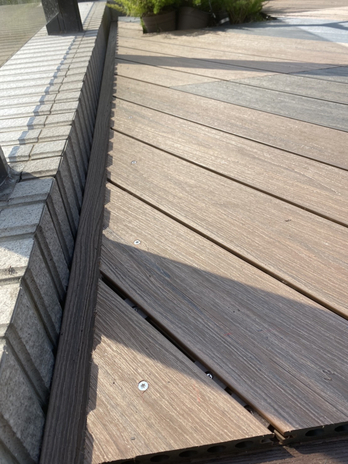 S__40361993.jpg