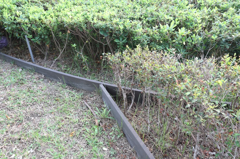 彰基-座椅 (2).jpg