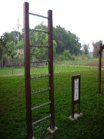 體健設施,木作體健,香妃木,水美溪親水公園