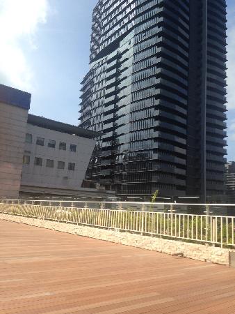 木紋塑膠仿木,塑木,林園酒店