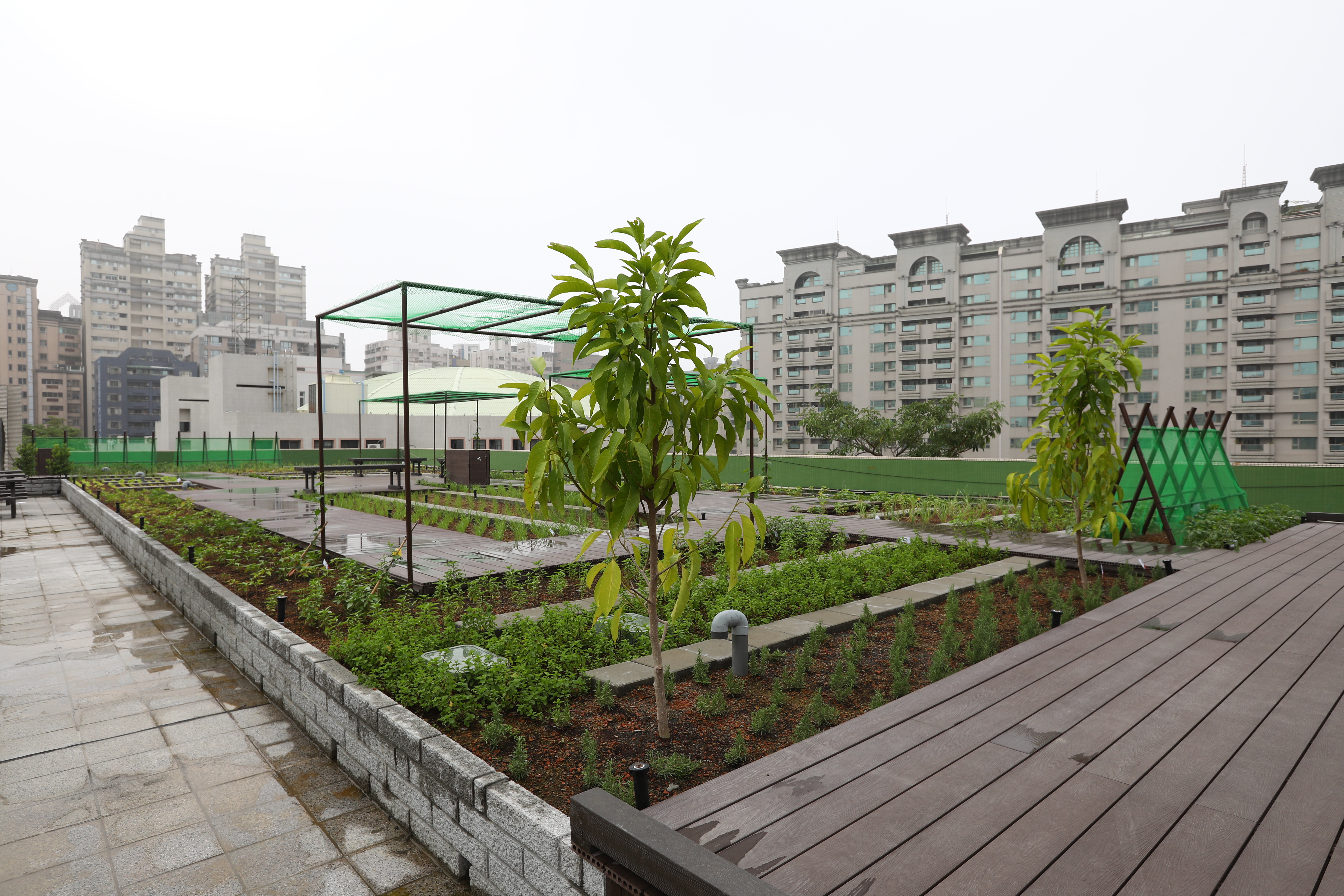 高雄 屋頂花園 (17).JPG
