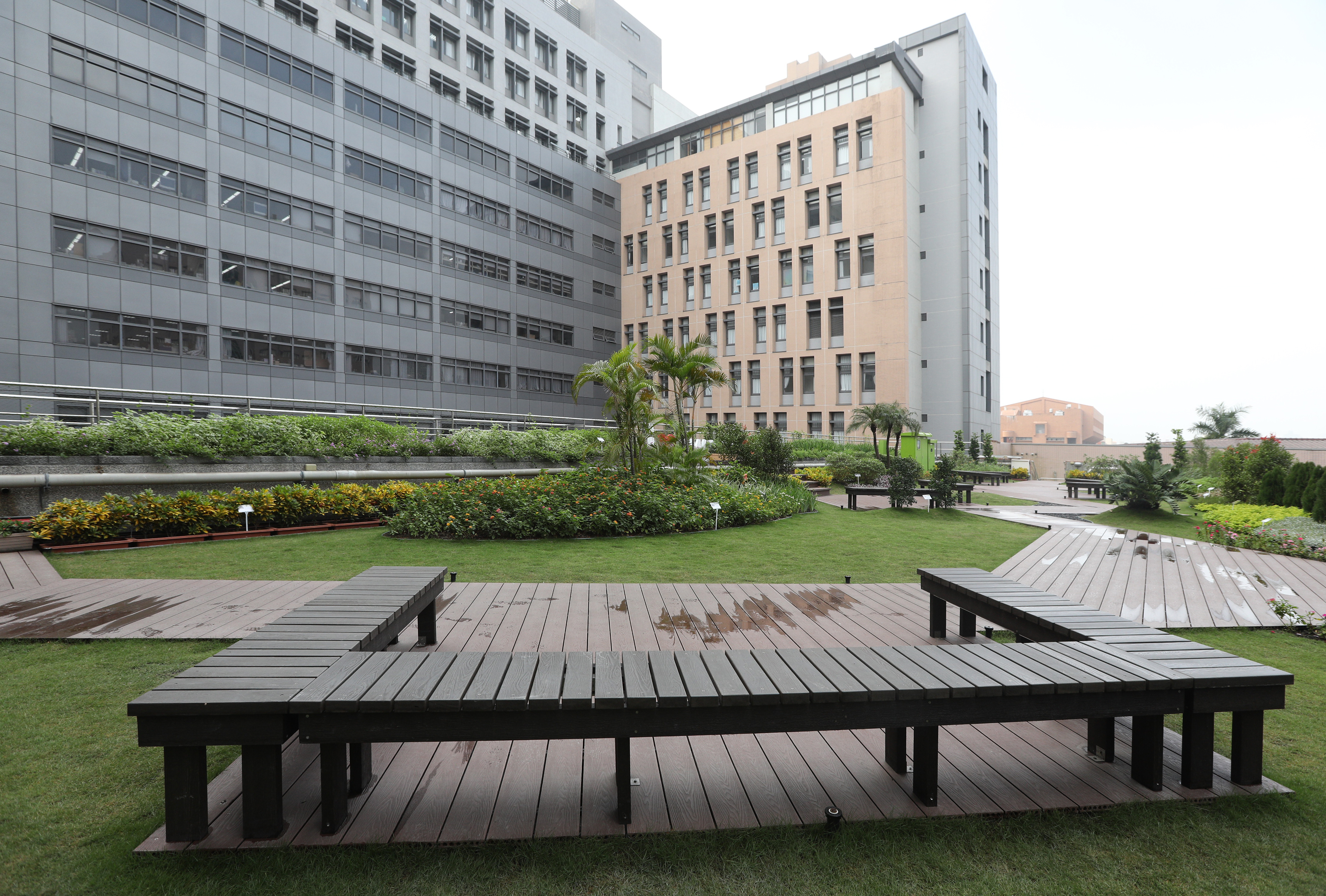 高醫屋頂花園 (2).JPG