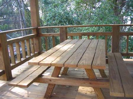 街道傢俱,南方松,豐原長青球場