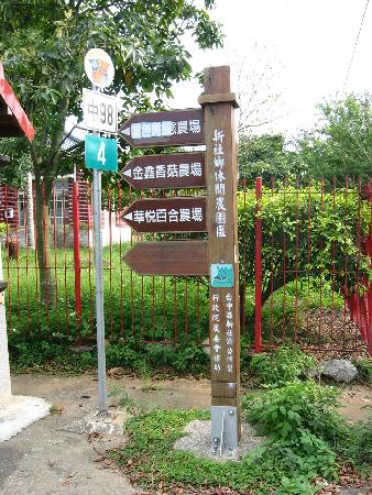 街道傢俱,南洋黑桃木,新社自行車綠廊