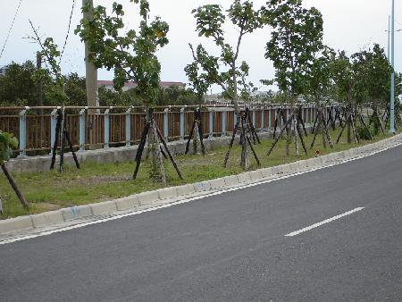 街道傢俱,南美柚木,大鵬灣風景區