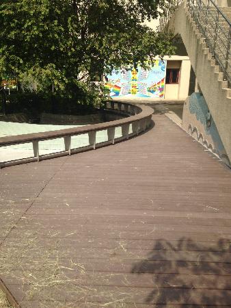 木作工程,塑木,平台,座椅,長安國小