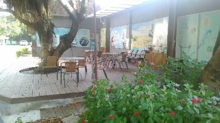 木作工程,木纖仿木,中正自來水園區