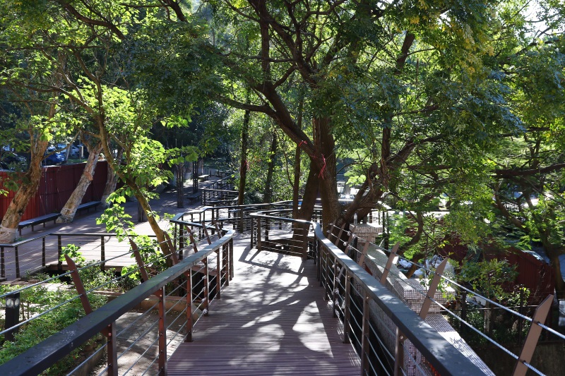 桃園 虎頭山-木平台、欄杆 (3).jpg