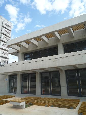 木作工程,南方松,東海大學學生宿舍