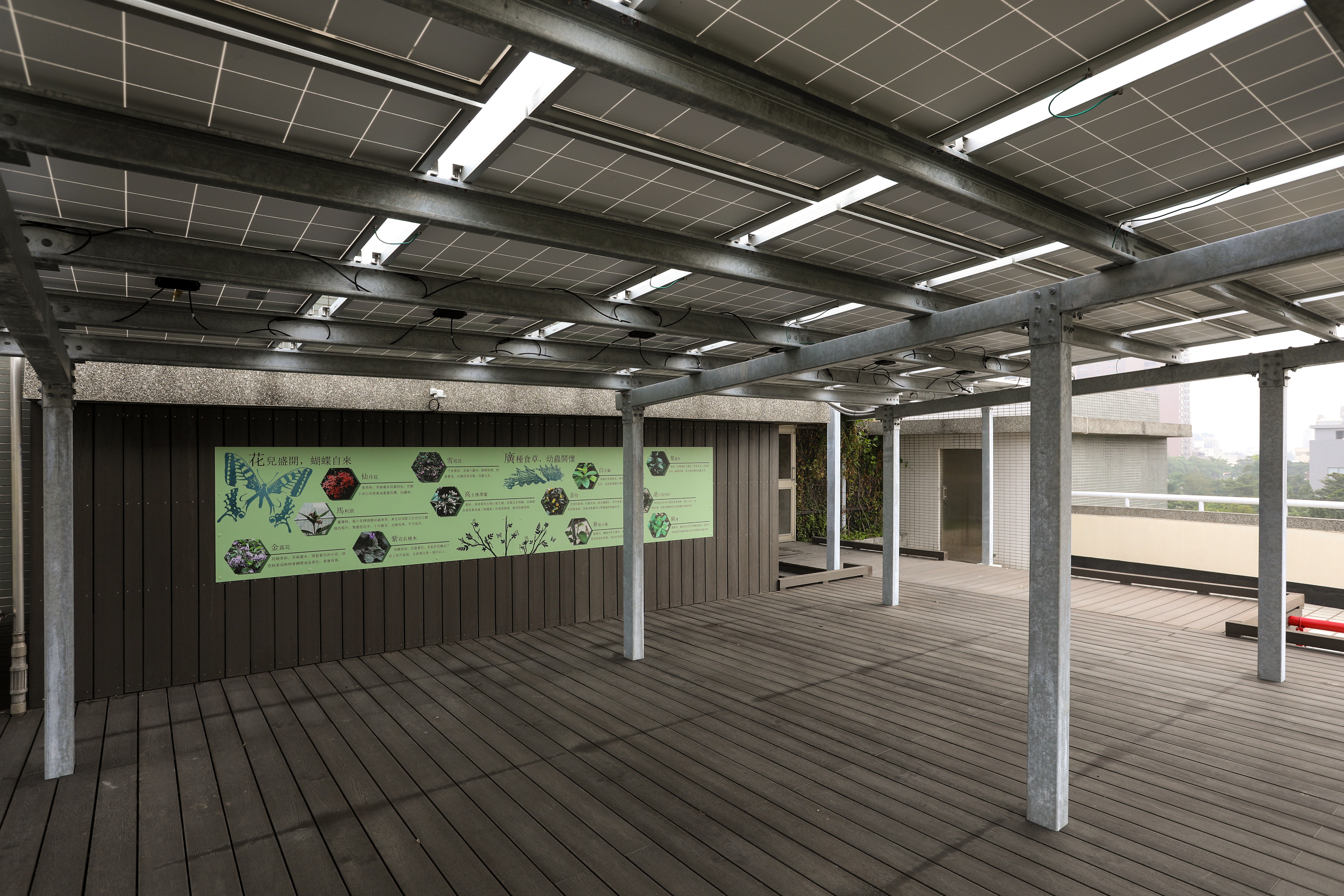 高雄新光國小 (33).JPG