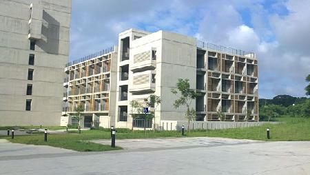 木作工程,南方松,東海大學學生宿舍