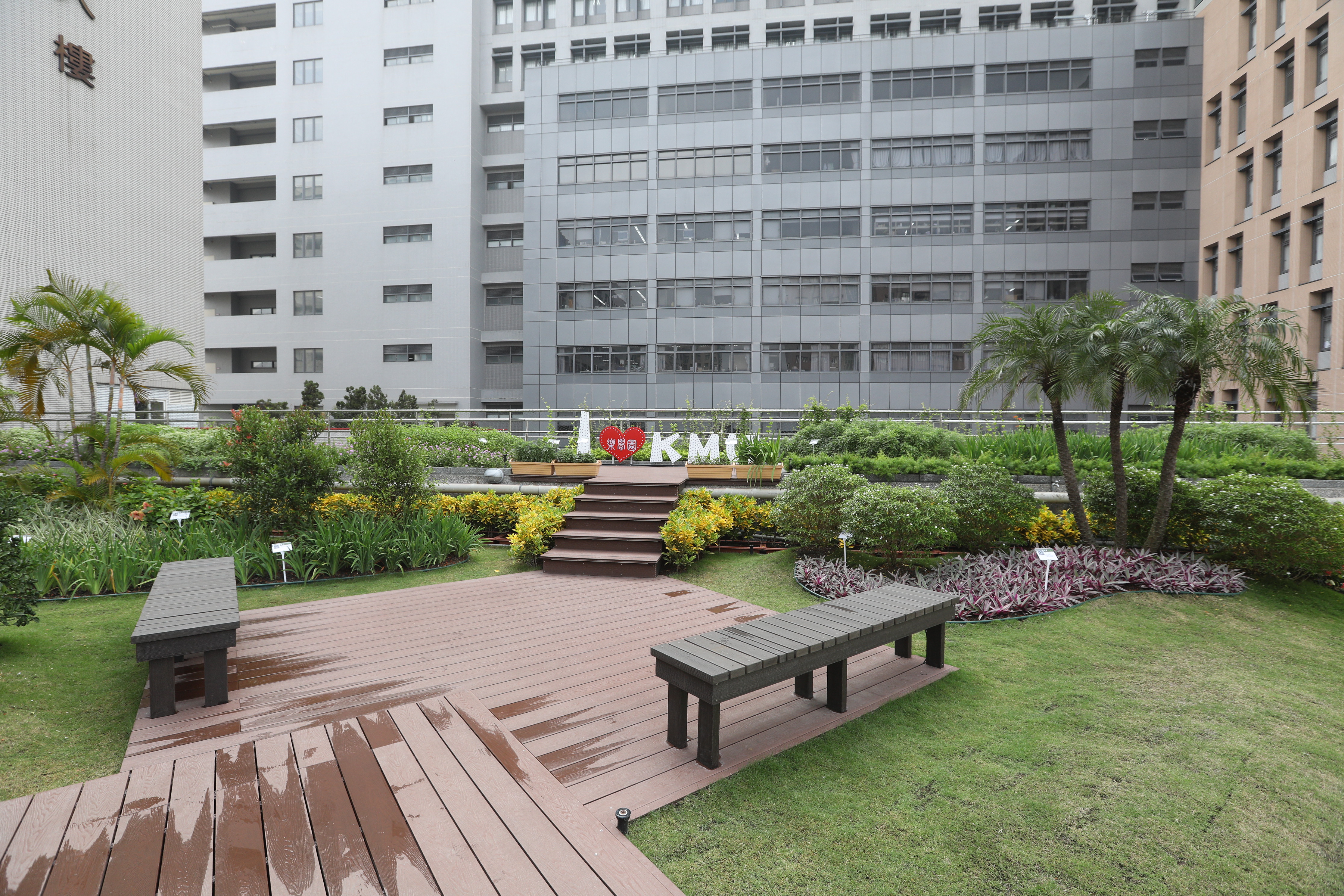 高醫屋頂花園 (1).JPG