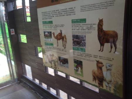 木作工程,塑木,壽山動物園