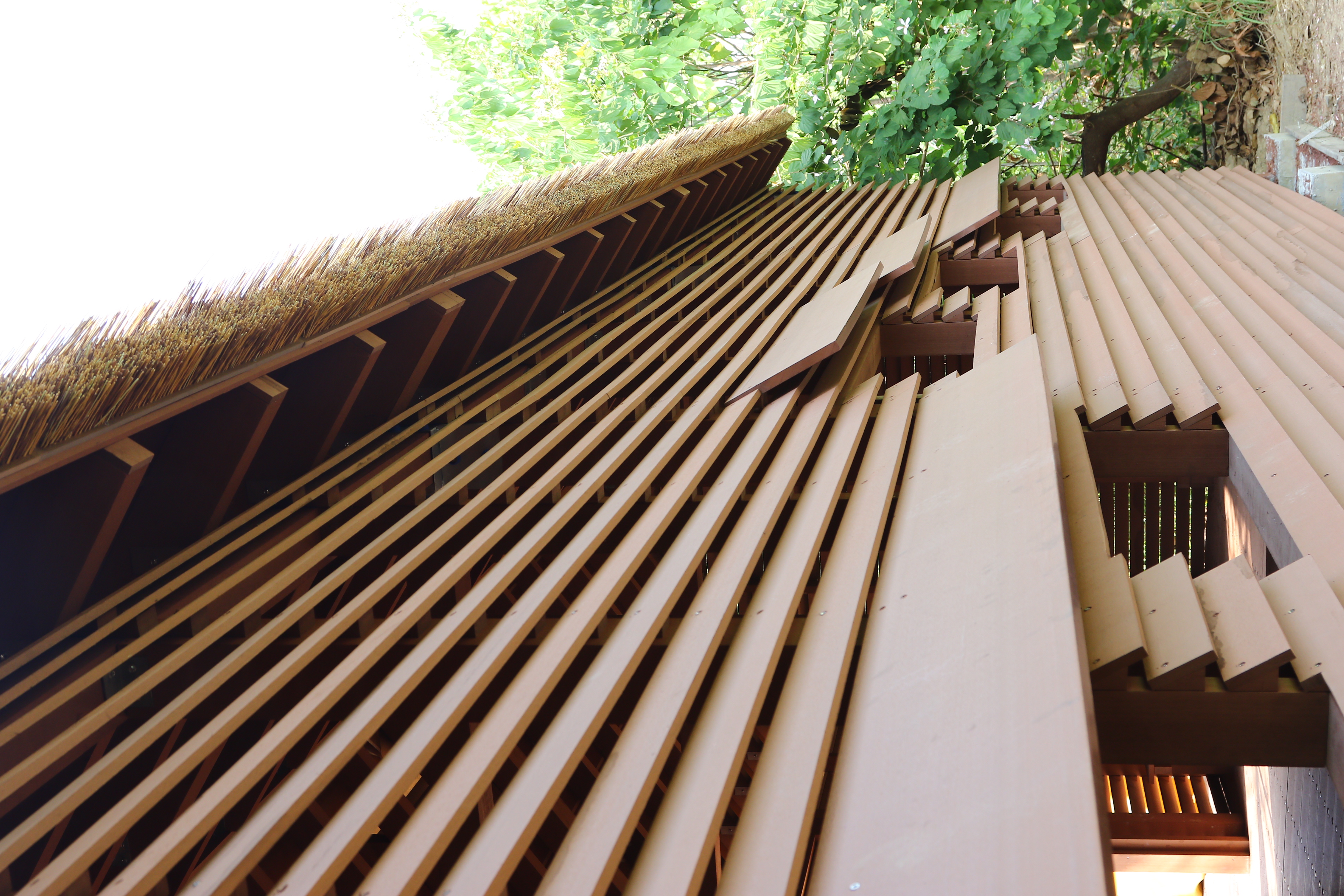 高雄 澄清湖 (4).JPG