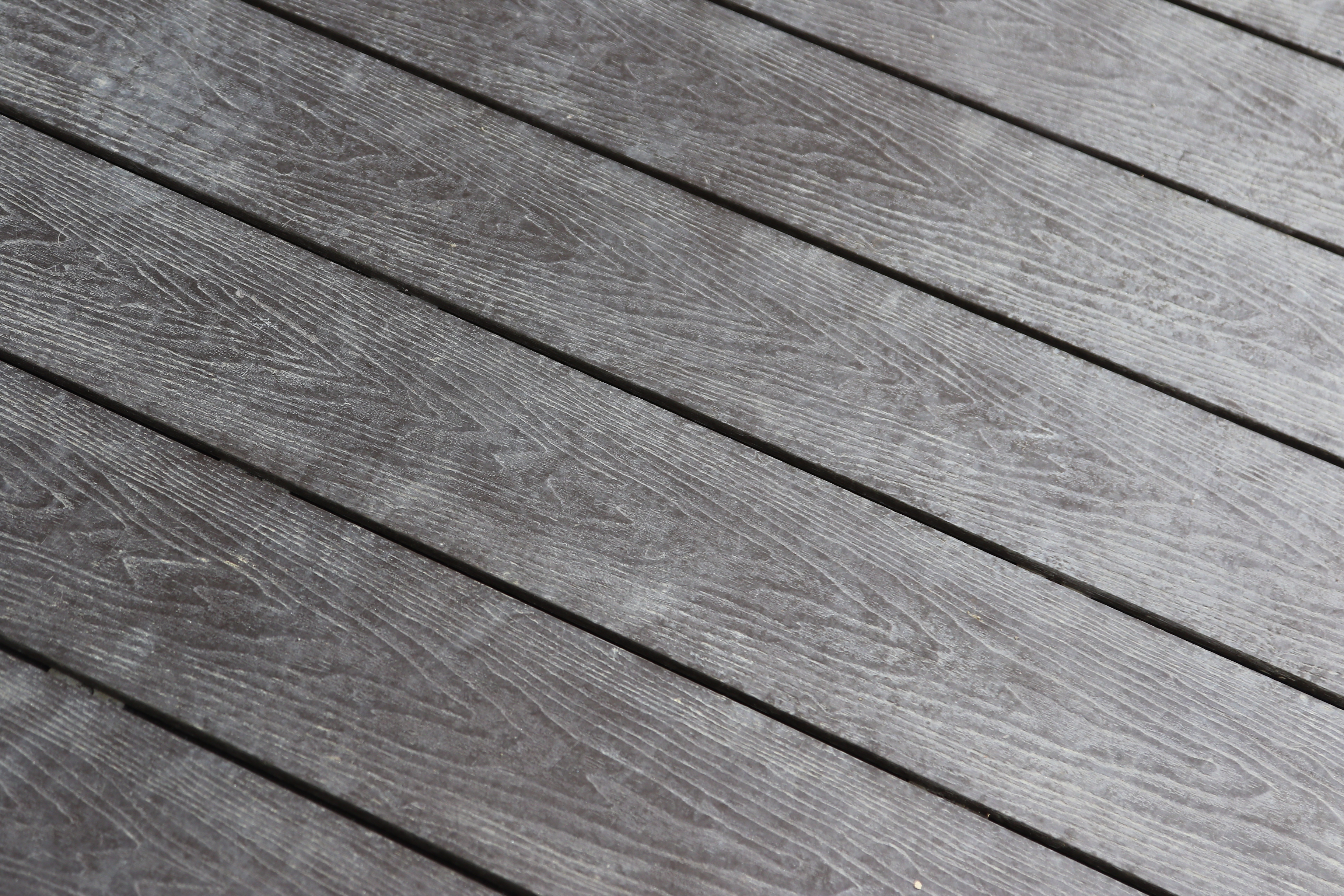 台中 綠空鐵道 (1).JPG