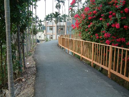 木紋塑膠仿木,塑木,南投縣埔里鎮自行車道