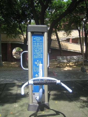 體健設施,長青公園