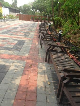 木作工程,塑木,壽山動物園