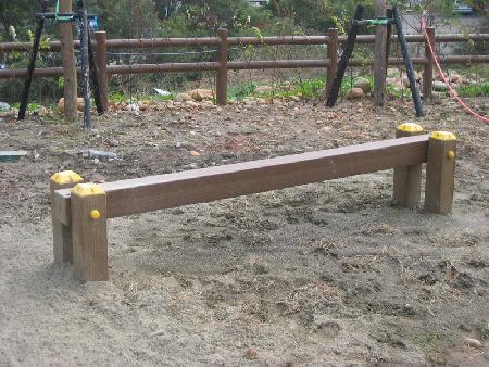 體健設施,香妃木,櫸木,台中工業區運動公園