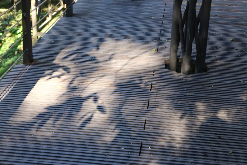 桃園 虎頭山-木平台、欄杆 (7).jpg