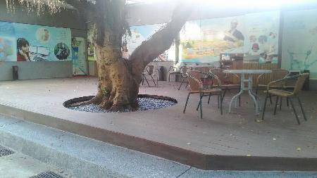 木作工程,木纖仿木,中正自來水園區