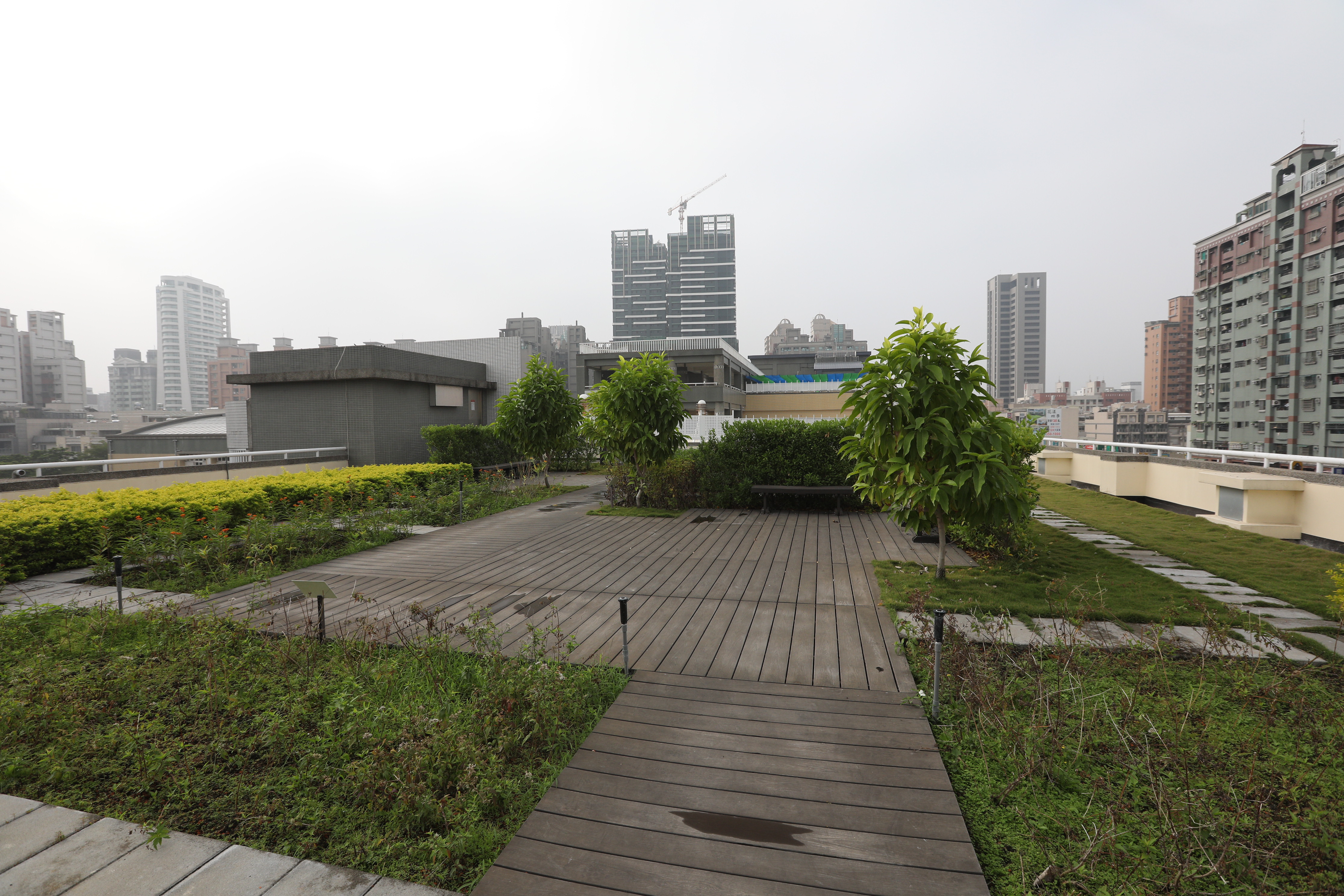 高雄新光國小 (28).JPG