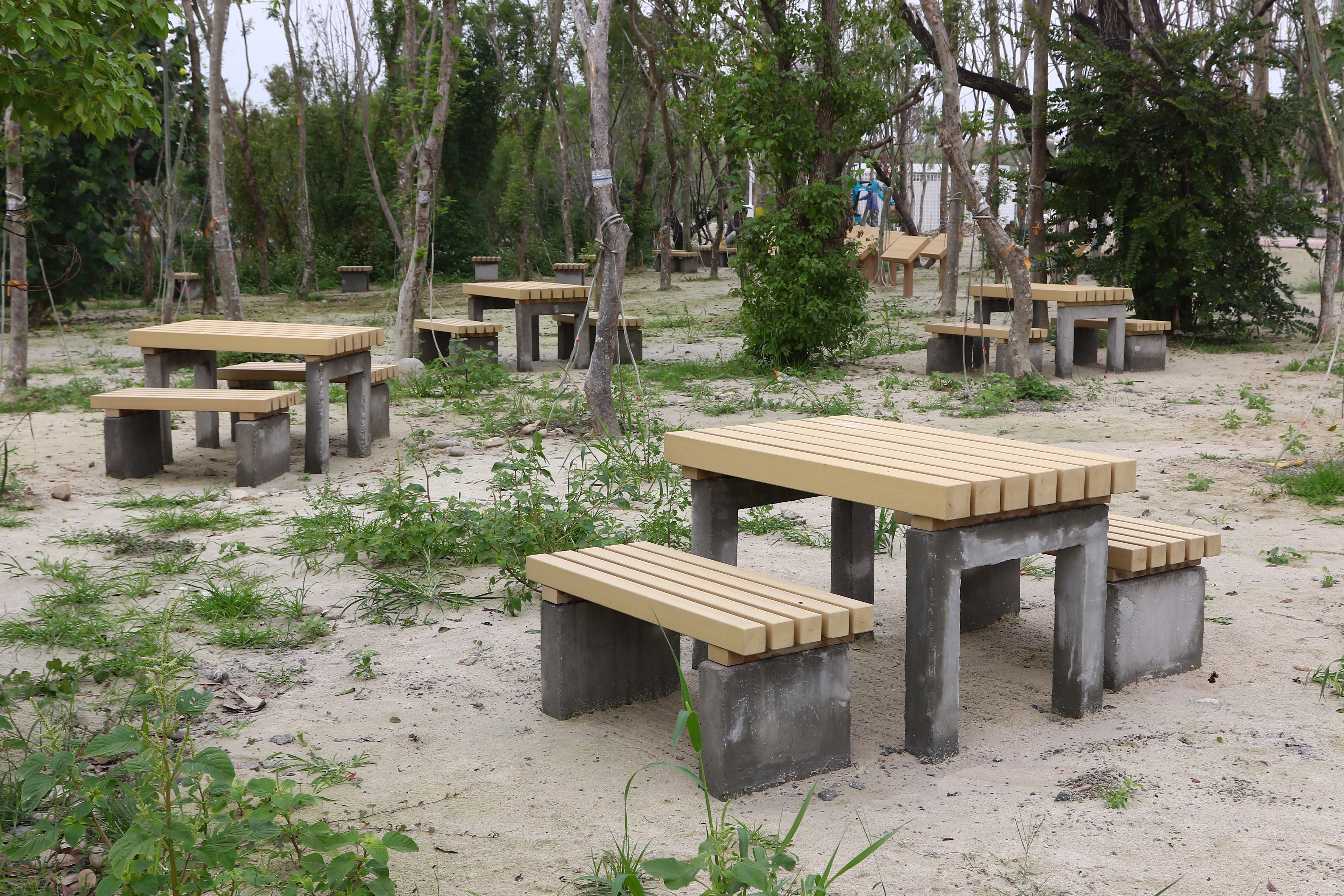 中央公園