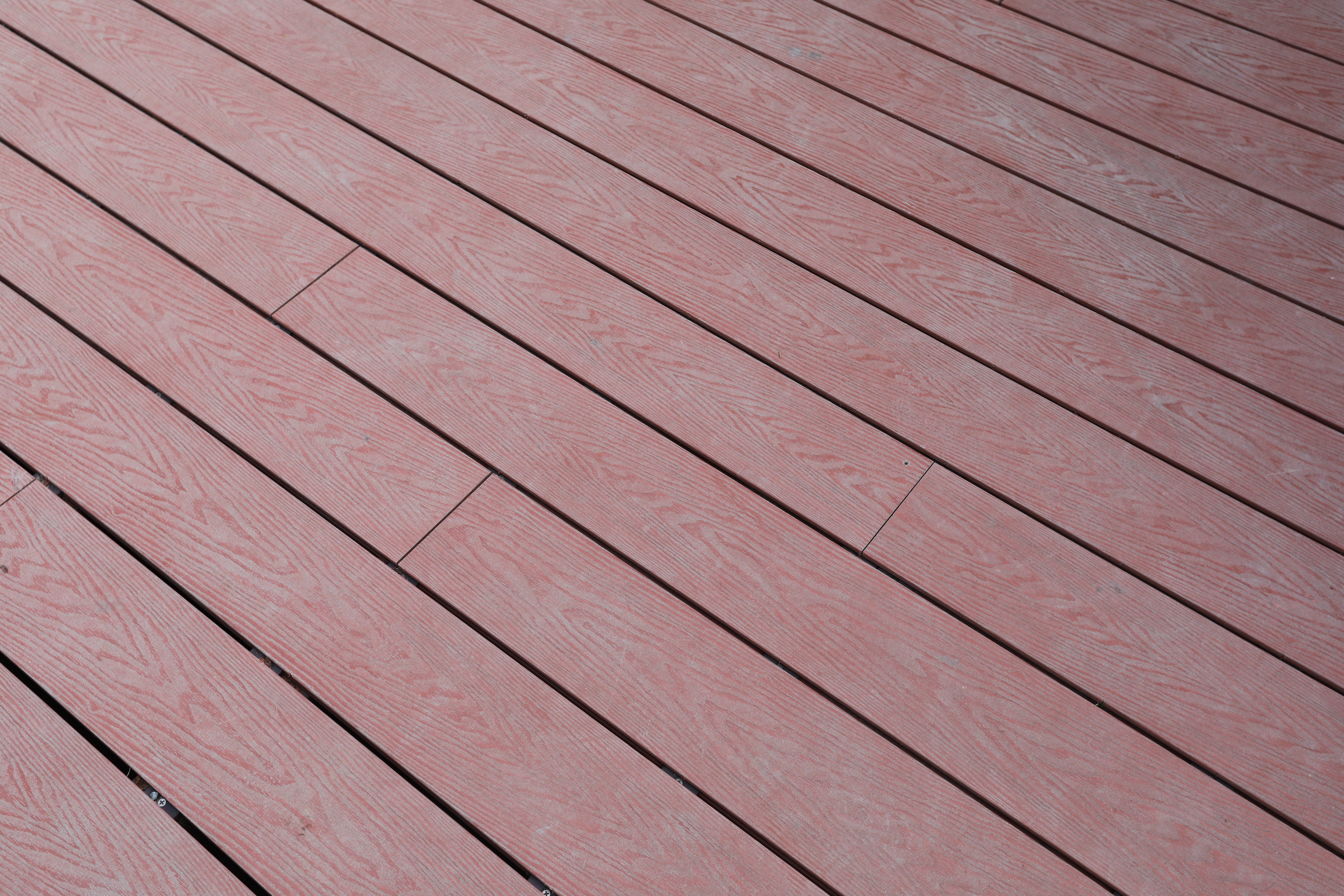 花博 豐原展區 (43).JPG