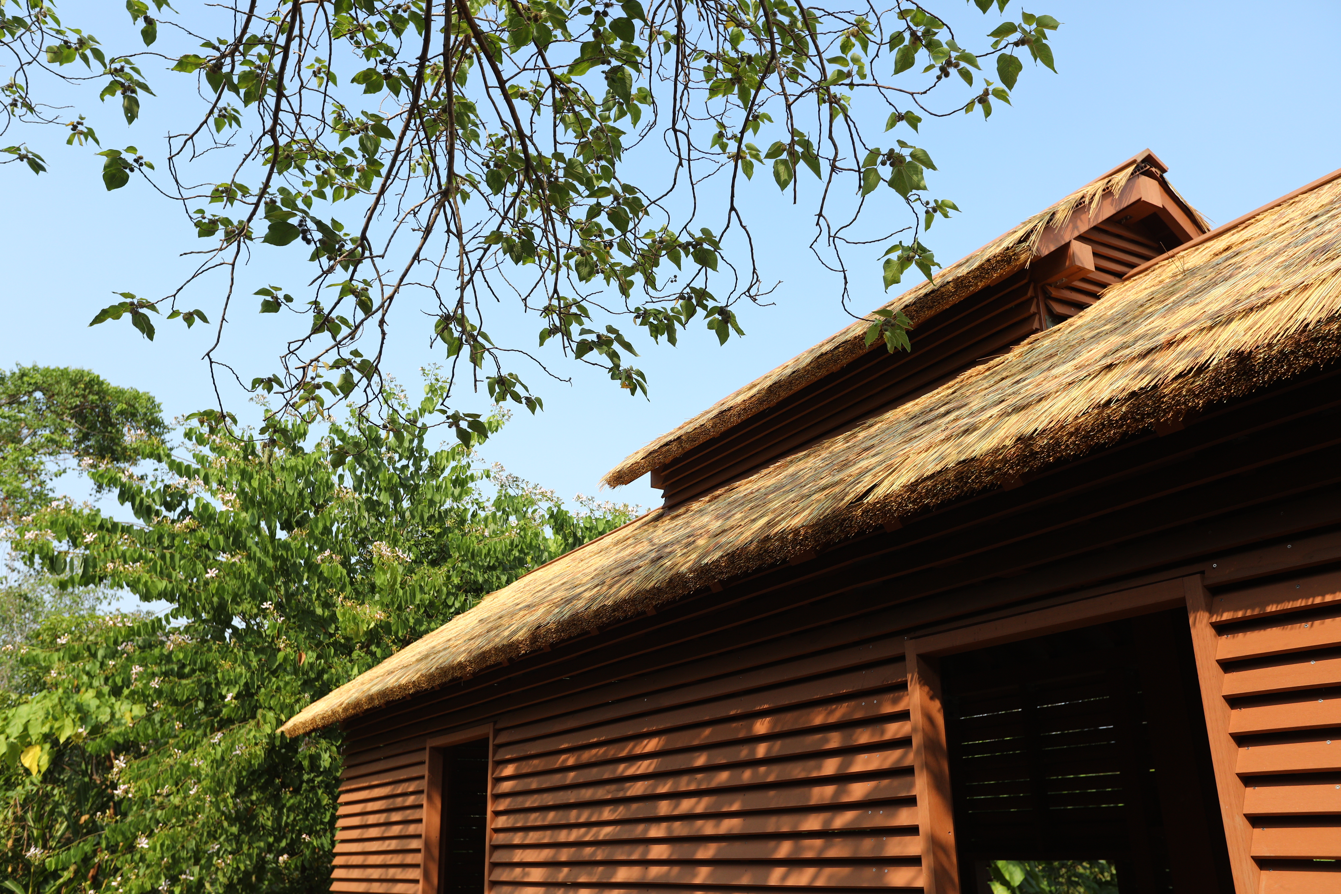 高雄 澄清湖 (27).JPG