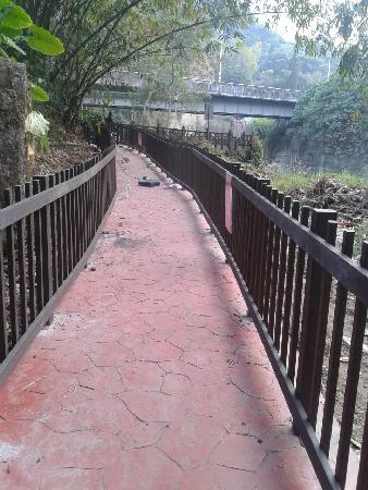 木作工程,塑木,欄杆,蝙蝠洞