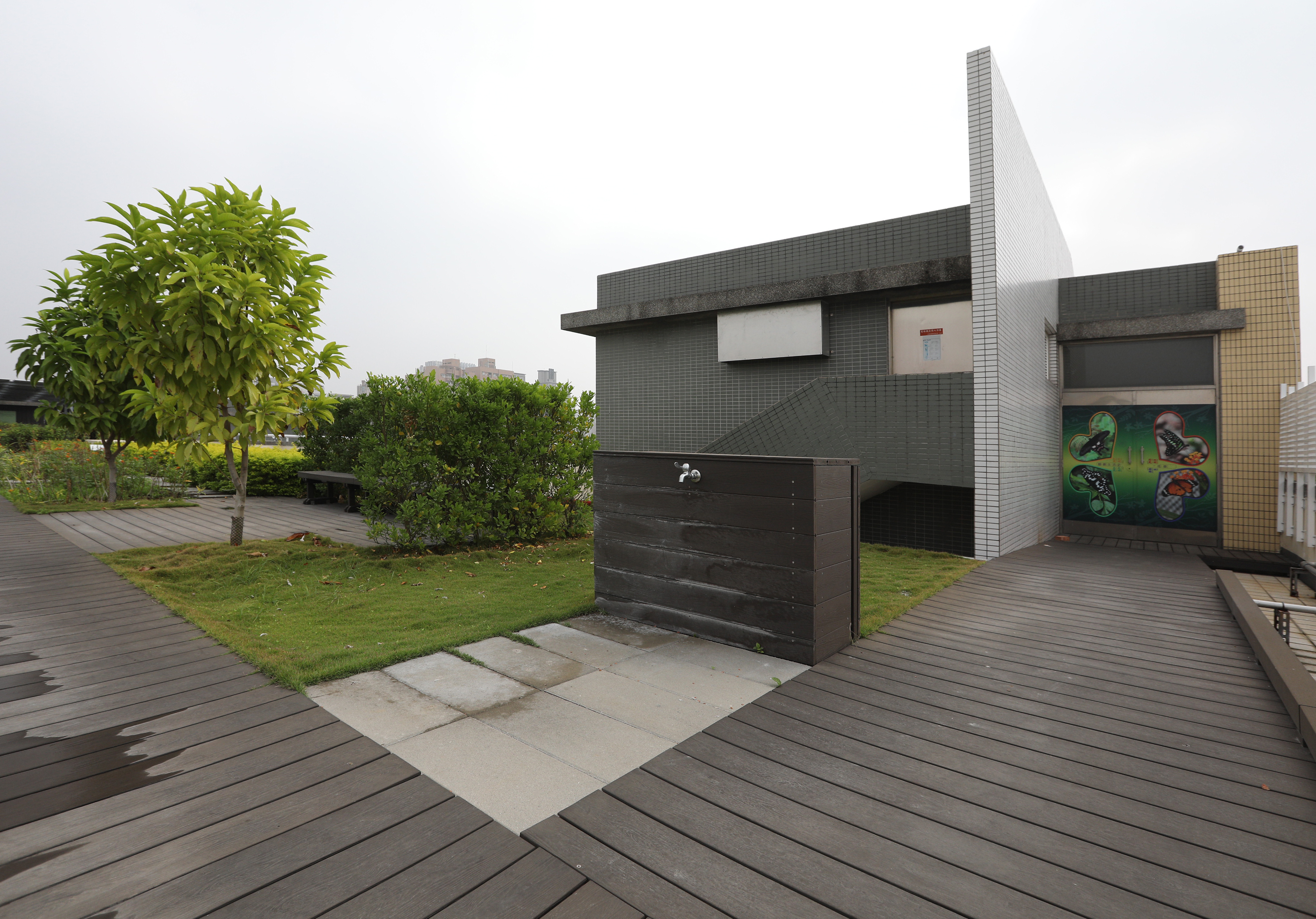 高雄新光國小 (23).JPG