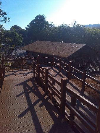 木作工程,塑木,壽山動物園