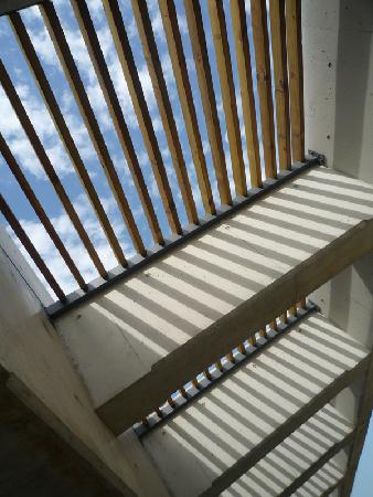 木作工程,南方松,東海大學學生宿舍