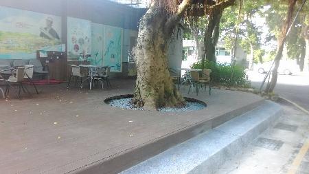 木作工程,木纖仿木,中正自來水園區