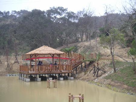 木作工程,紅鐵木,青青草原