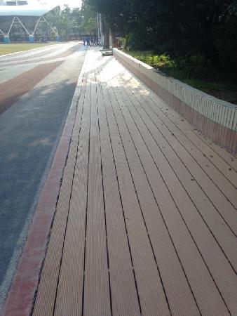 景觀材料,木纖仿木,瑞興國小