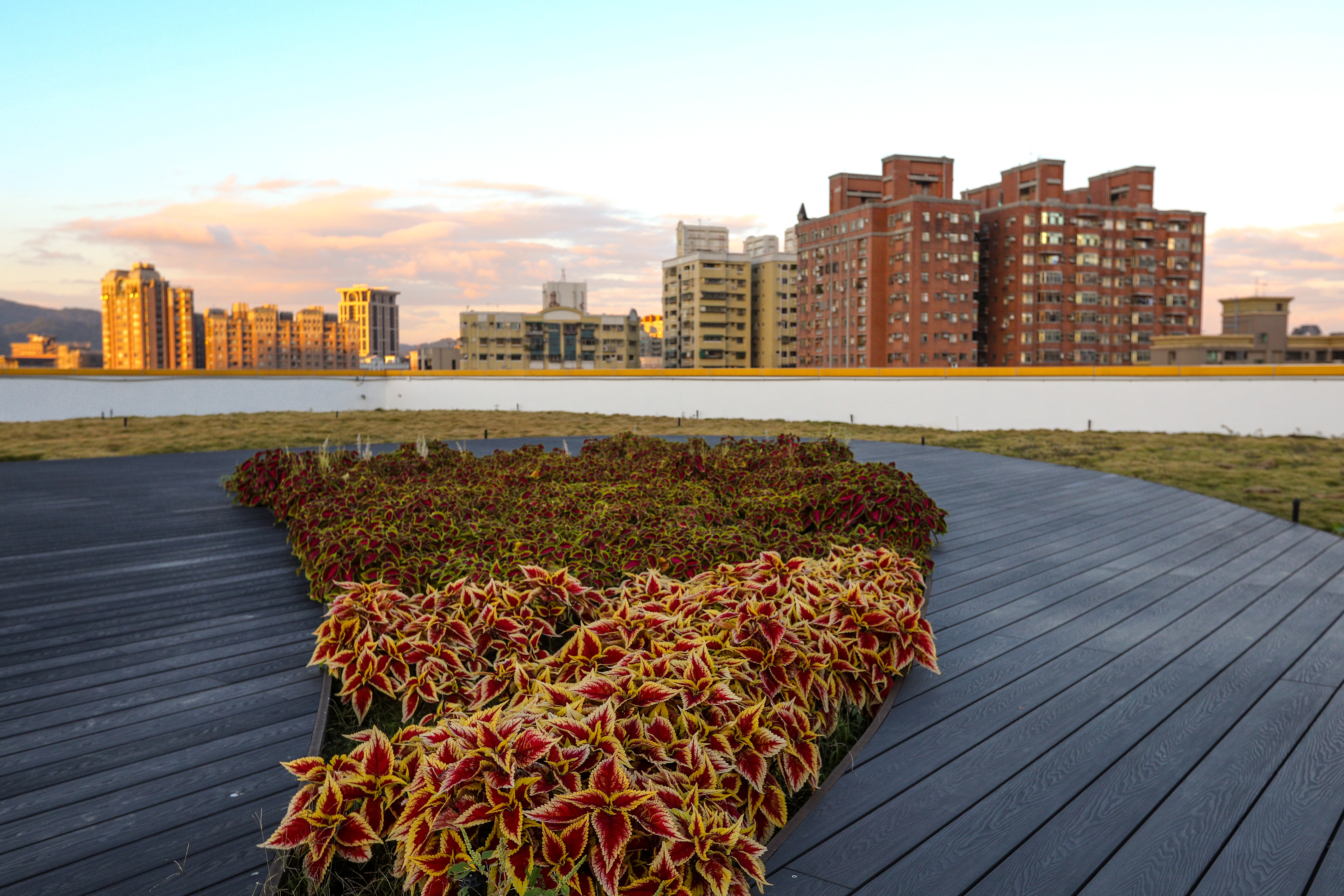 新北 三鶯運動中心 (13).JPG