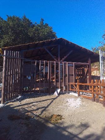 木作工程,塑木,壽山動物園