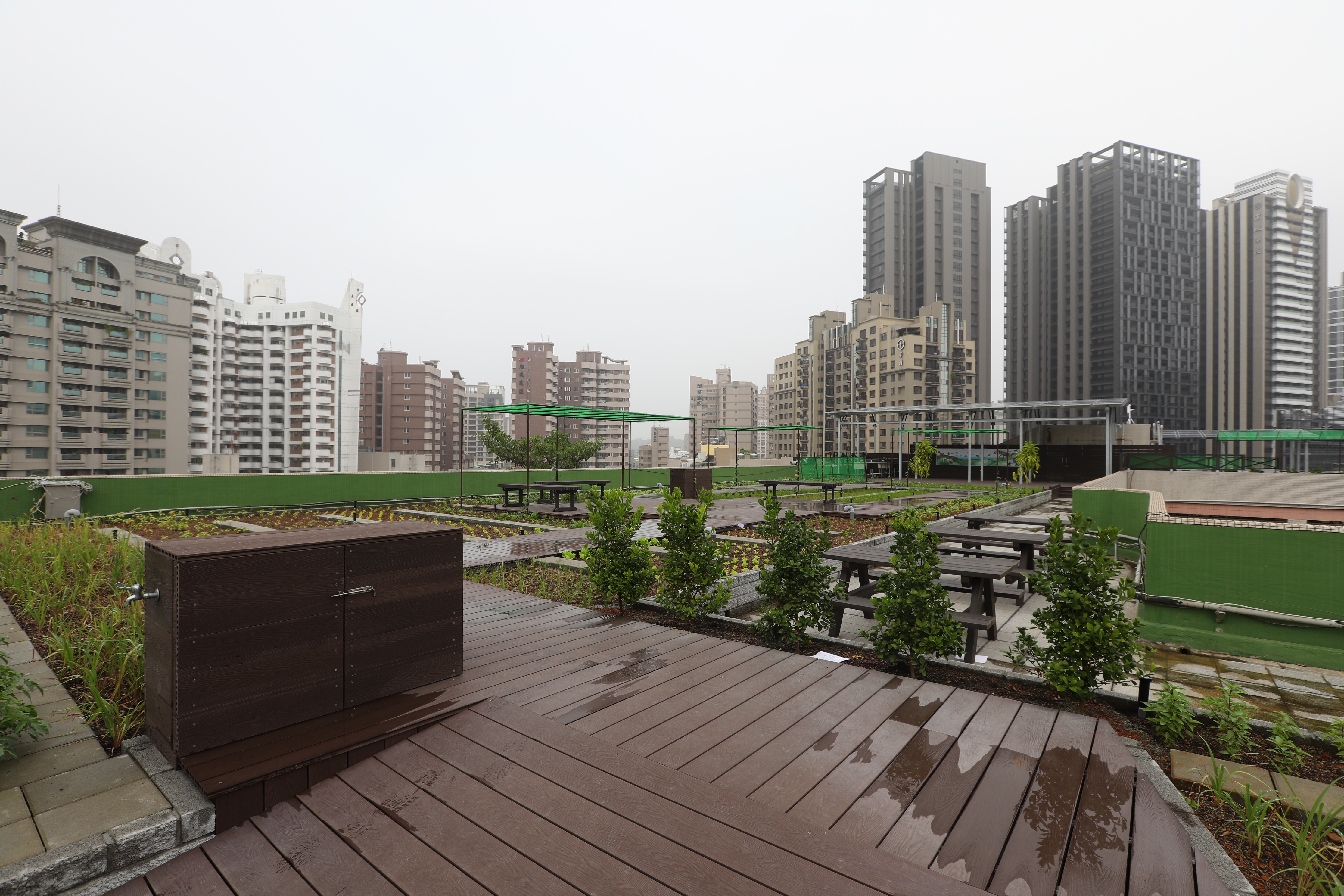 高雄 屋頂花園 (8).JPG