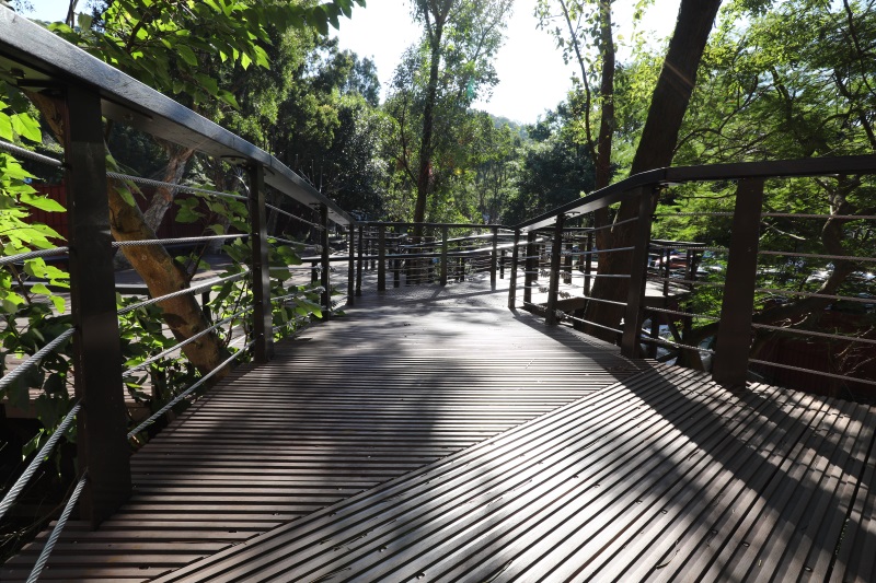 桃園 虎頭山-木平台、欄杆 (17).jpg