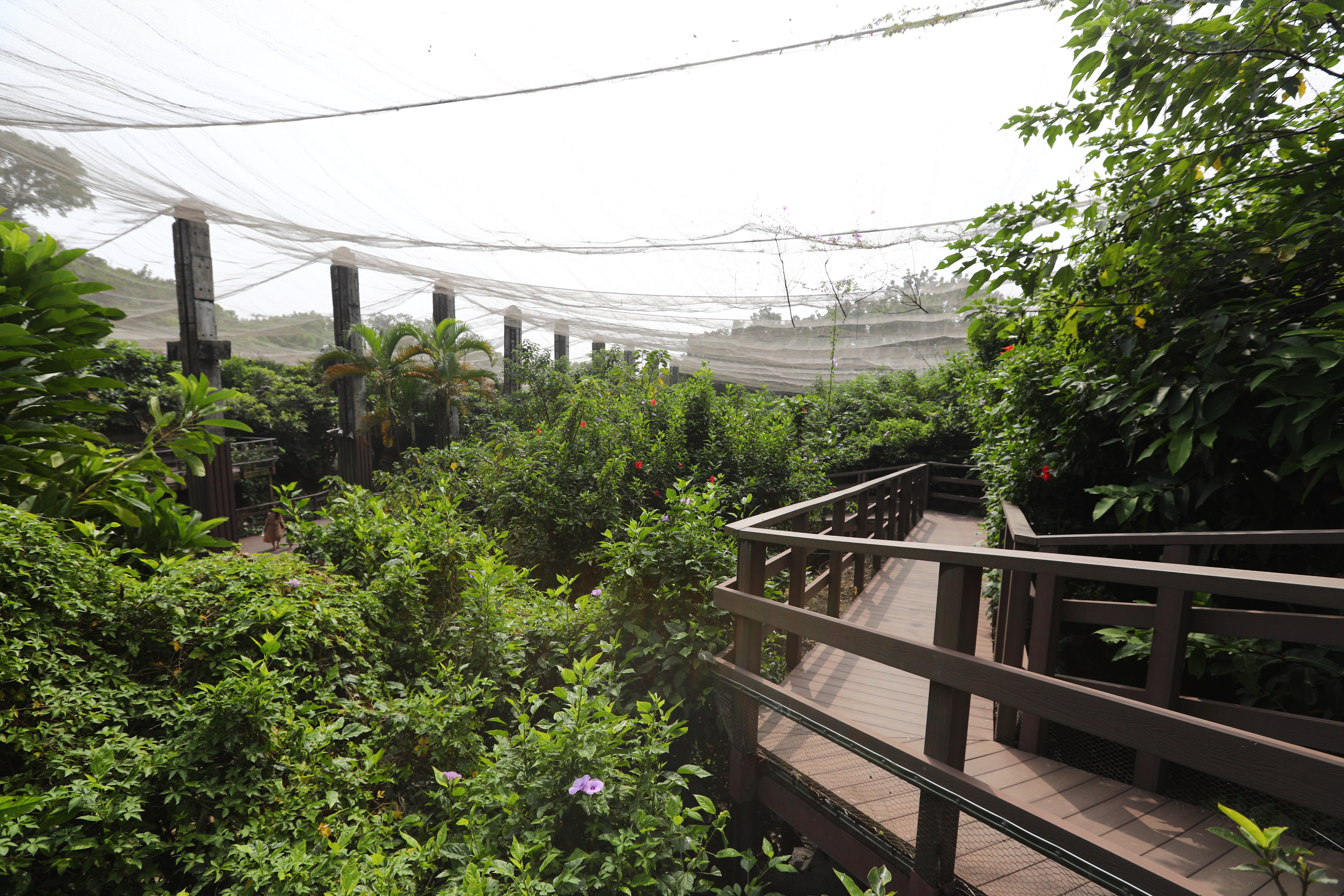 高雄 壽山動物園 (21).JPG