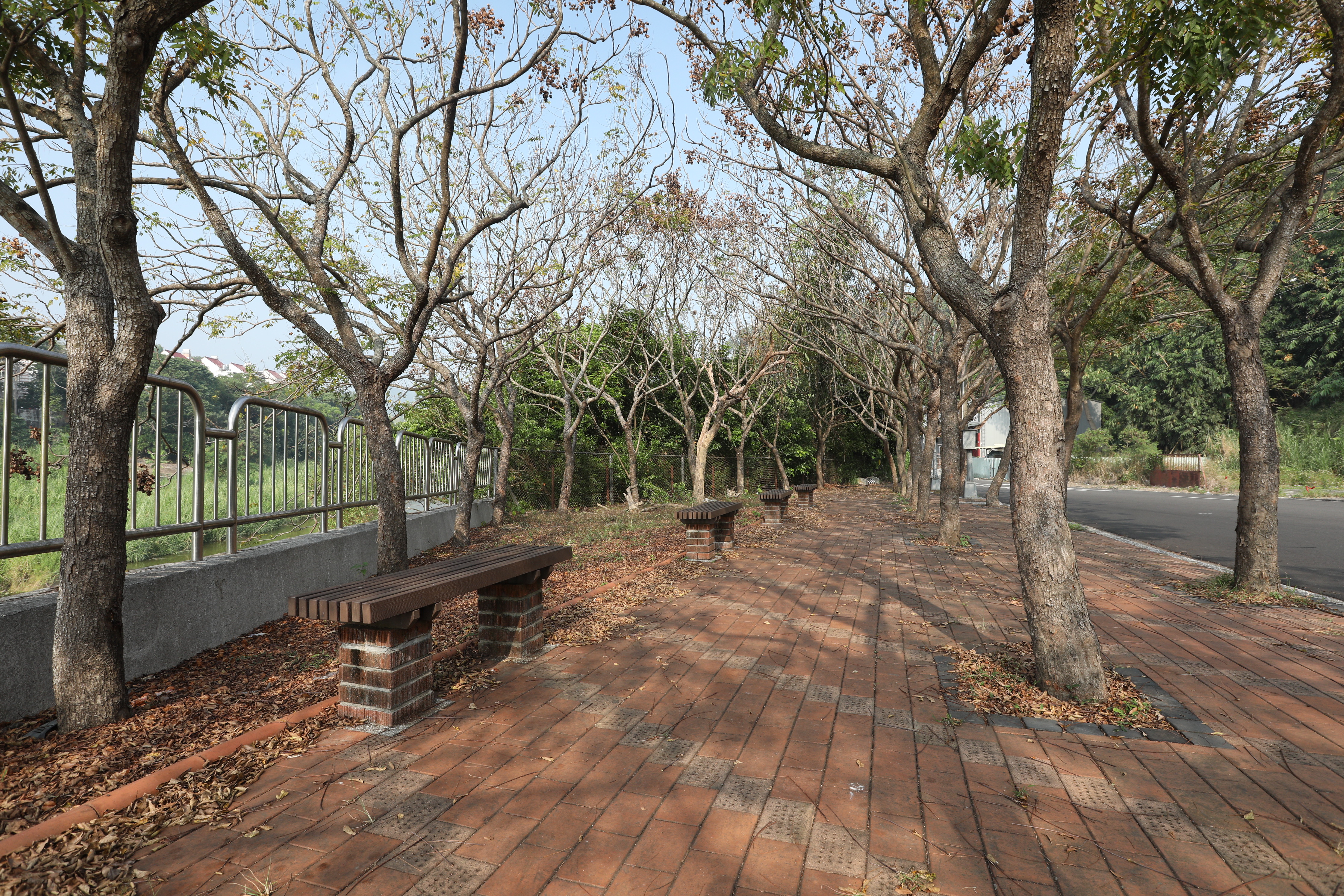 冬冬芋園房 (3).JPG